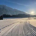 Tauplitzrausch *