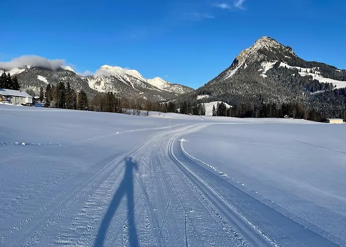 Appartamento Tauplitzrausch *